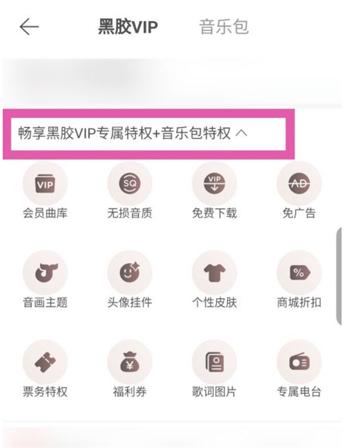 網(wǎng)易云音樂包和黑膠vip有什么區(qū)別