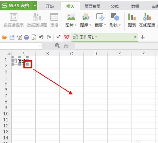 wps復(fù)選框怎么設(shè)置打勾?