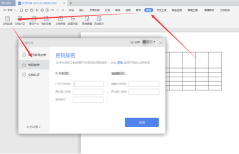 wps加密碼怎么設置？