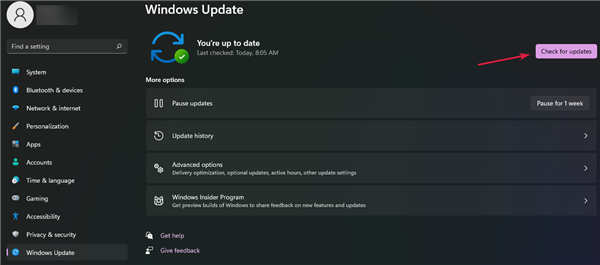 怎么檢查Windows11中的新更新？