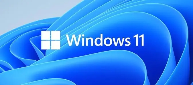 使用Win11安裝助手時出現(xiàn)錯誤0x8007007f怎么解決？