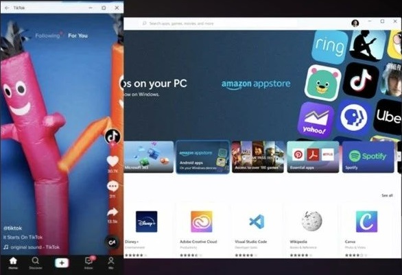 強行升級Win11后不能更新怎么辦？