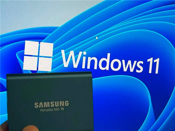 怎么在Windows11中備份文件并降級(jí)回Windows10？