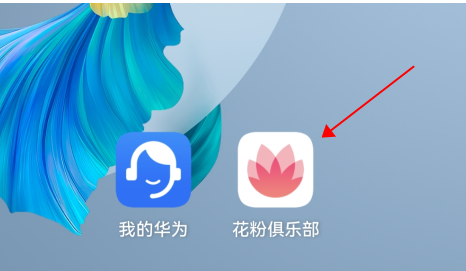 花粉俱樂部怎樣申請(qǐng)鴻蒙內(nèi)測(cè)?花粉俱樂部鴻蒙內(nèi)測(cè)申請(qǐng)步驟