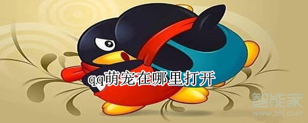 qq萌寵在哪里打開
