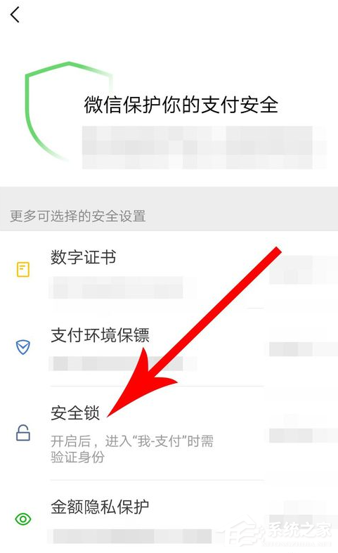 微信中怎么設(shè)置支付安全鎖？微信中設(shè)置支付安全鎖的方法