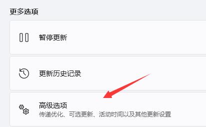 Win11玩不了地平線4怎么辦？Win11玩不了地平線4解決方法