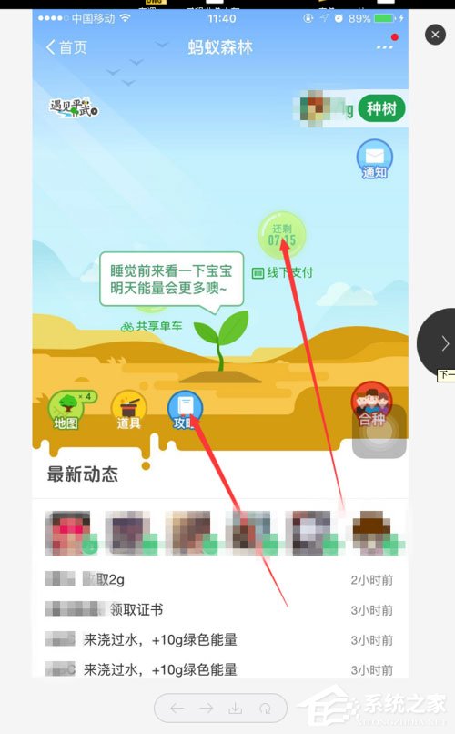 支付寶螞蟻森林能量怎么獲??？
