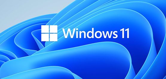 怎么免安裝體驗(yàn)Win11？免安裝體驗(yàn)Win11的方法