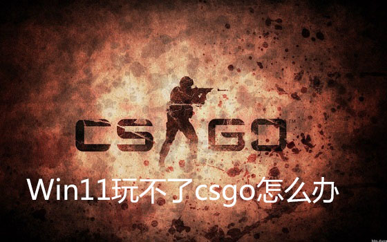 Win11玩不了csgo怎么辦？Win11玩不了csgo的解決方法
