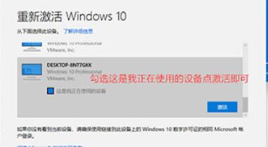 怎么判斷Win11系統是否激活？Win11判斷系統是否已激活的方法
