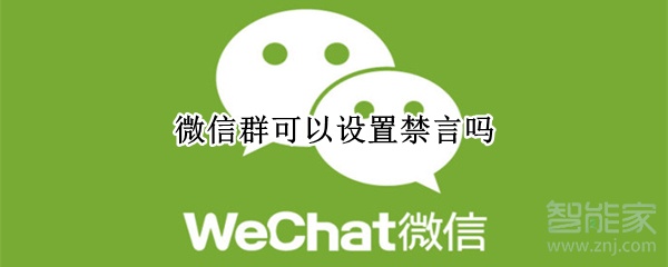 微信群可以設置禁言嗎