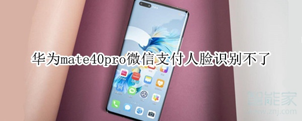 華為mate40pro微信支付人臉識(shí)別不了