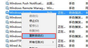 Win10的搜索框搜不到東西怎么辦？