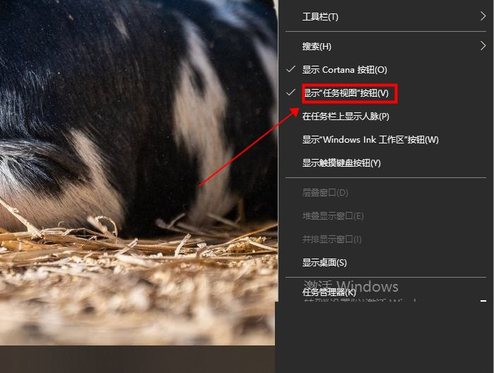 Win10專業版任務視圖快捷鍵是什么？Win10任務視圖打開的方法