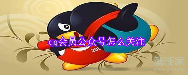 qq會員公眾號怎么關注