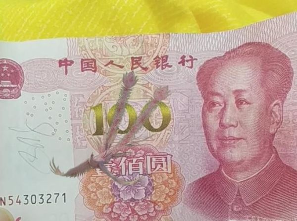 怎么能用QQ看到100元人民幣里的吉祥鳳凰?
