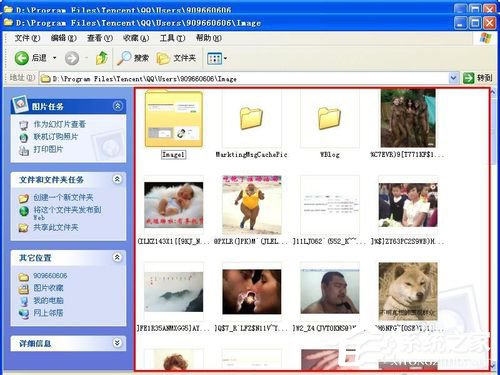 QQ表情在哪個文件夾里?查看QQ表情在哪個文件夾里的方法