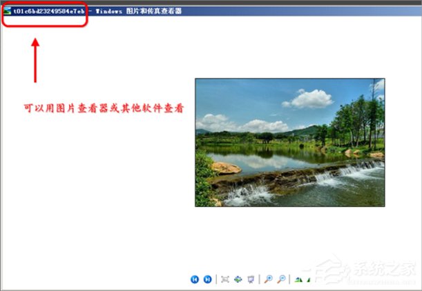 WinXP縮略圖不顯示文件名怎么辦？