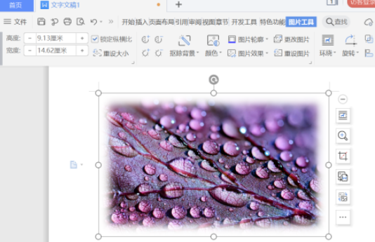word圖片柔化邊緣設置教程分享