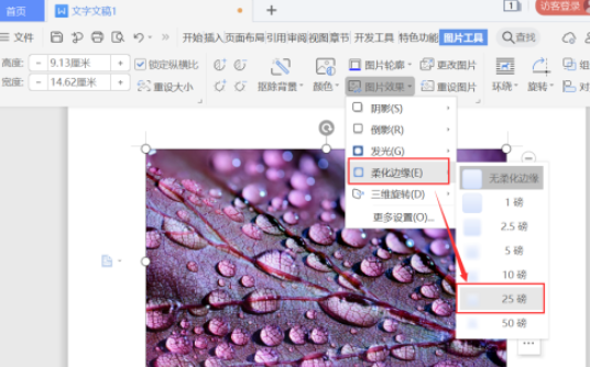 word圖片柔化邊緣設置教程分享