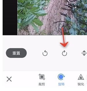 美圖秀秀APP怎么旋轉圖片?旋轉圖片的技巧分享