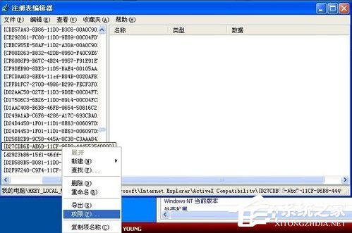 WinXP系統(tǒng)Flash Player安裝遇到錯(cuò)誤怎么辦？