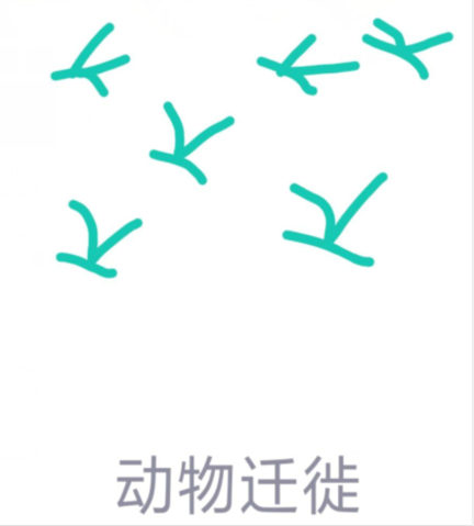 QQ紅包動(dòng)物遷徙怎么畫?qq畫圖動(dòng)物遷移快速畫法