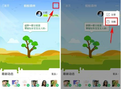 在支付寶里怎么將行走捐打開(kāi)?將行走捐打開(kāi)的步驟一覽