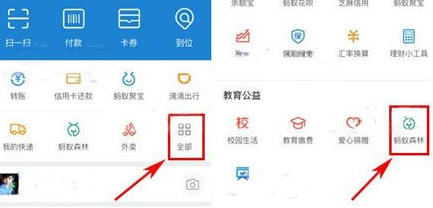 在支付寶里怎么將行走捐打開(kāi)?將行走捐打開(kāi)的步驟一覽
