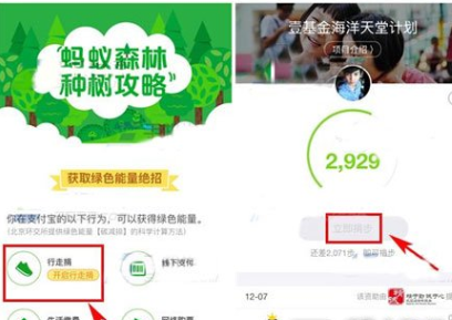 在支付寶里怎么將行走捐打開(kāi)?將行走捐打開(kāi)的步驟一覽