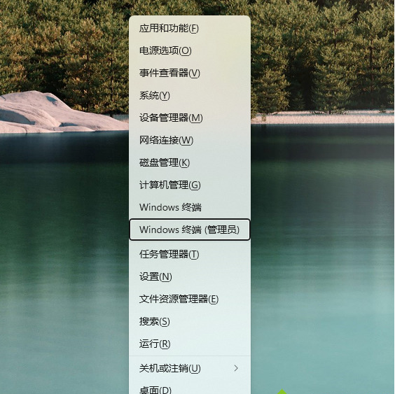 Win11應用商店怎么下載 Win11應用商店下載方法