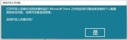 Win11怎么開啟開發(fā)者選項(xiàng)?Win11打開開發(fā)人員選項(xiàng)教程