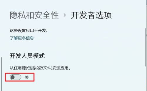 Win11怎么開啟開發(fā)者選項(xiàng)?Win11打開開發(fā)人員選項(xiàng)教程