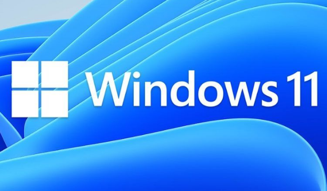 Windows11打開(kāi)磁盤(pán)顯示教程分享