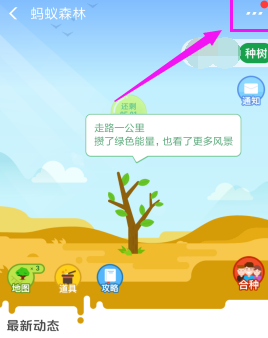 支付寶螞蟻森林怎么設(shè)置能量可收取提醒?設(shè)置能量可收取提醒方法分享