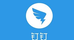 怎樣啟用釘釘拍照打卡功能？啟用牌拍照打卡功能的方法介紹