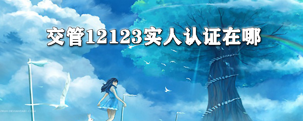 交交管12123怎么實人認證？交管12123實人認證方法分享
