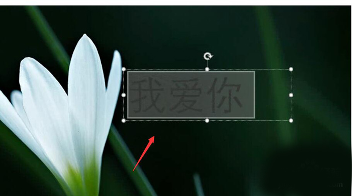 使用PPT制作出動態(tài)文字具體操作流程