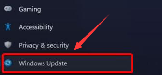 Windows11更新攝像頭驅(qū)動(dòng)步驟介紹