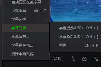 愛奇藝萬能播放器怎么調字幕 手把手教你調出好字幕