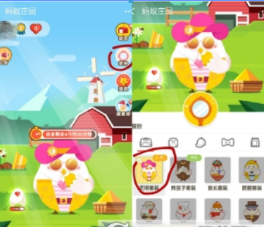 支付寶螞蟻莊園花唄套裝是什么？ 螞蟻莊園花唄套裝可以獲得紅包嗎？