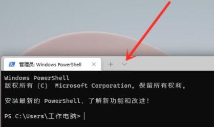 win11使用命令行調(diào)出設(shè)置教程
