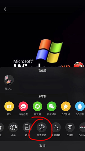 抖音XP系統動態壁紙如何設置？抖音XP系統動態壁紙設置方法攻略介紹!