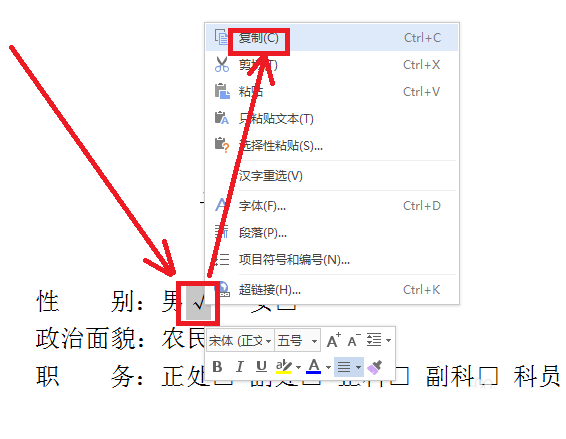 wps中方框內打勾的詳細操作流程