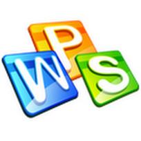 wps中方框內打勾的詳細操作流程