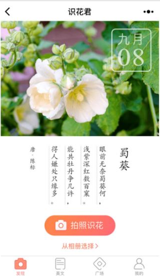 微信app小程序中的識(shí)花君怎么用？微信app小程序中的識(shí)花君用法介紹！