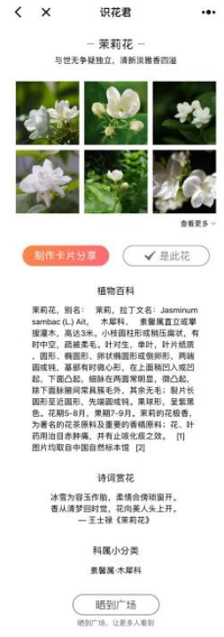 微信app小程序中的識(shí)花君怎么用？微信app小程序中的識(shí)花君用法介紹！