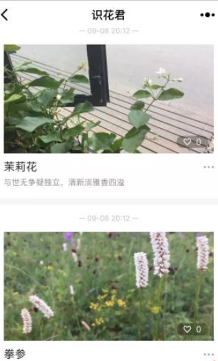 微信app小程序中的識(shí)花君怎么用？微信app小程序中的識(shí)花君用法介紹！