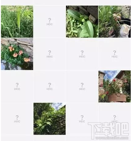 Win10查看不了HEIC圖片格式怎么辦？iOS 11圖片問題解決教程